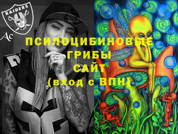 spice Алексин